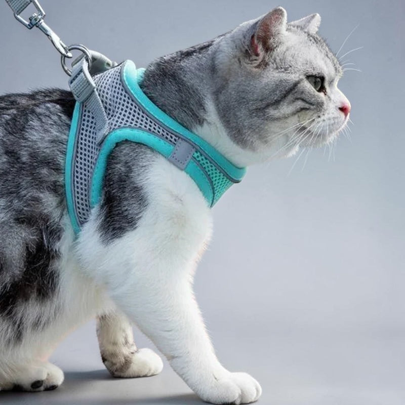 Soft Mesh Adjustable Dog & Cat Harness Vest