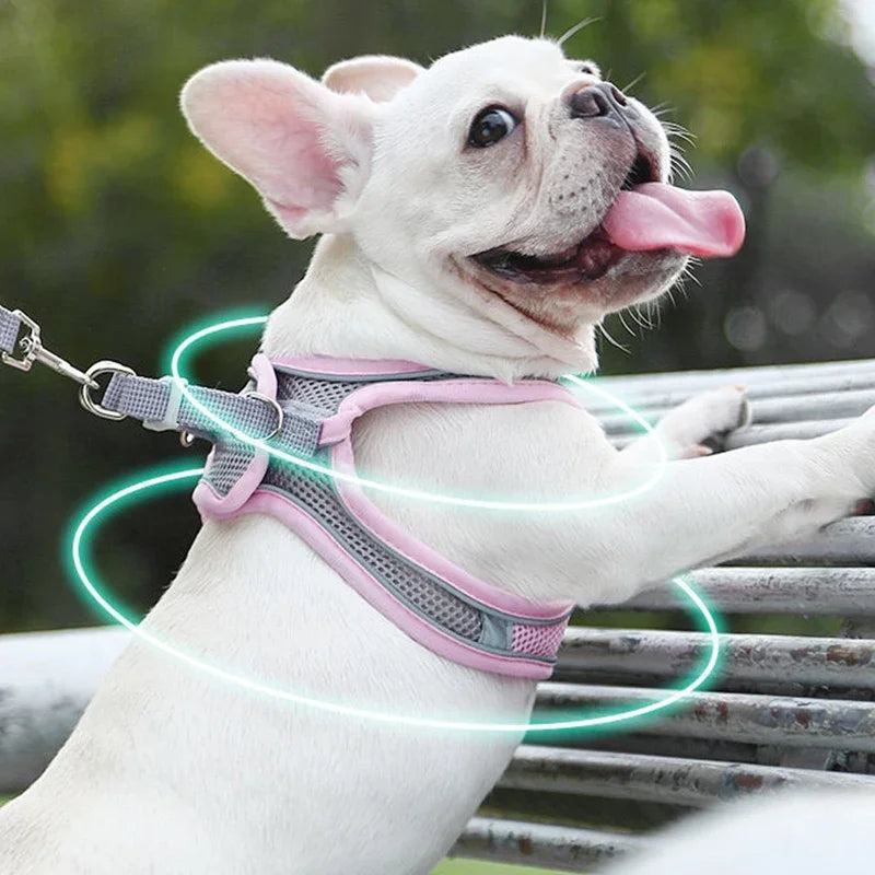 Soft Mesh Adjustable Dog & Cat Harness Vest